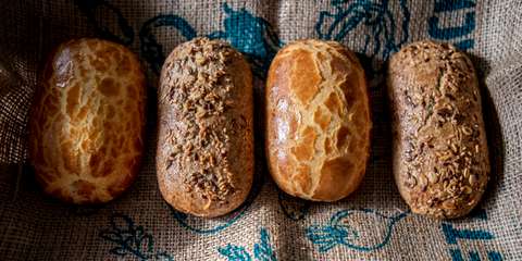 Kourou pies